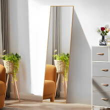 Modern Slim Frame Full Length Wall Mirror, Gold