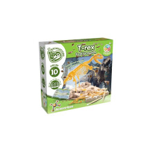 Kit de chasse aux fossiles de T-Rex pour enfants - Déterrez et assemblez les 15 pièces du fossile de