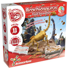 - Kit de fouille de fossiles de brachiosaure pour enfants de plus de 6 ans - Déterrez et assemblez 11