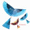 Bricolage Élastique Puissance Bionic Avion Ornithoptère Oiseaux Modèles Science Cerf-Volant Jouets Assemblage 6