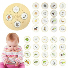 Planche de cycle de vie Montessori en bois pour enfants, plateau de cycle de vie, jouets de puzzle colorés