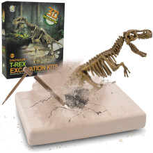 Creusez et découvrez un squelette de dinosaure Tyrannosaurus Rex, des os fossiles en 3D, des fouilles