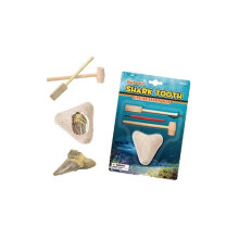 Tedco Toys 90007 Kit d'excavation de dents de requin