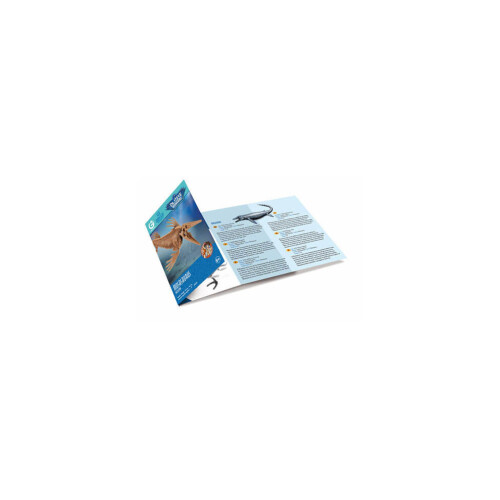 Kit d'excavation du Dr Steve Hunter de Geoworld 1