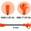 30 Amp to 15 Amp RV Adapter Cord 3