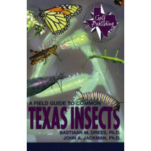 Field Guide to Common Texas Insects
