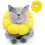 Cat Recovery Collar - Cute Pineapple Neck Cat Cones After Surgery, Adjustable Cat E Collar 1