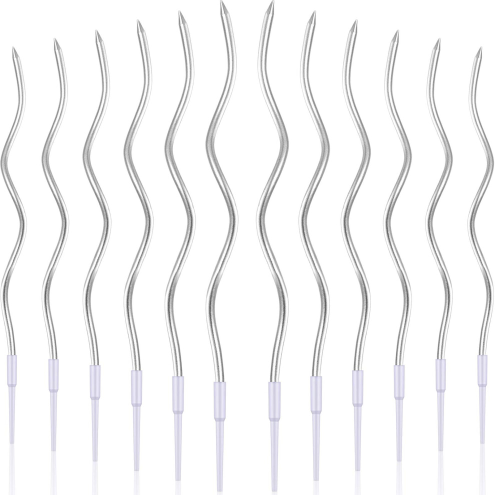 12 Twisted Birthday Candles Spiral Cake Candles Metallic Cupcake Cake Candles Thin Long Cake Candles With Holders (Silver) Silver 614901726855