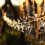 Christmas String Lights, Battery Powered Warm White LED Reindeer String Lights Christmas Decoration, 10 LED String Lights 14