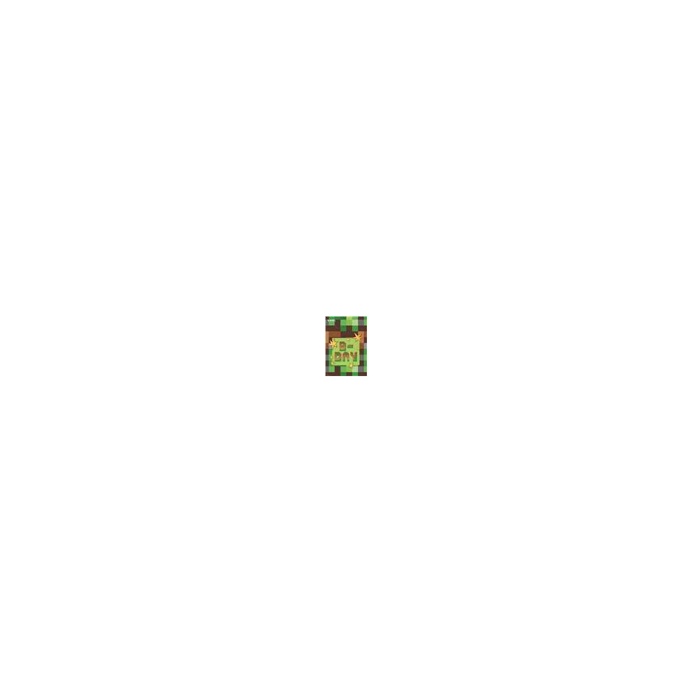 Minecraft TNT Party Bags Set of 24 Boys & Girls, Perfect for Birthdays