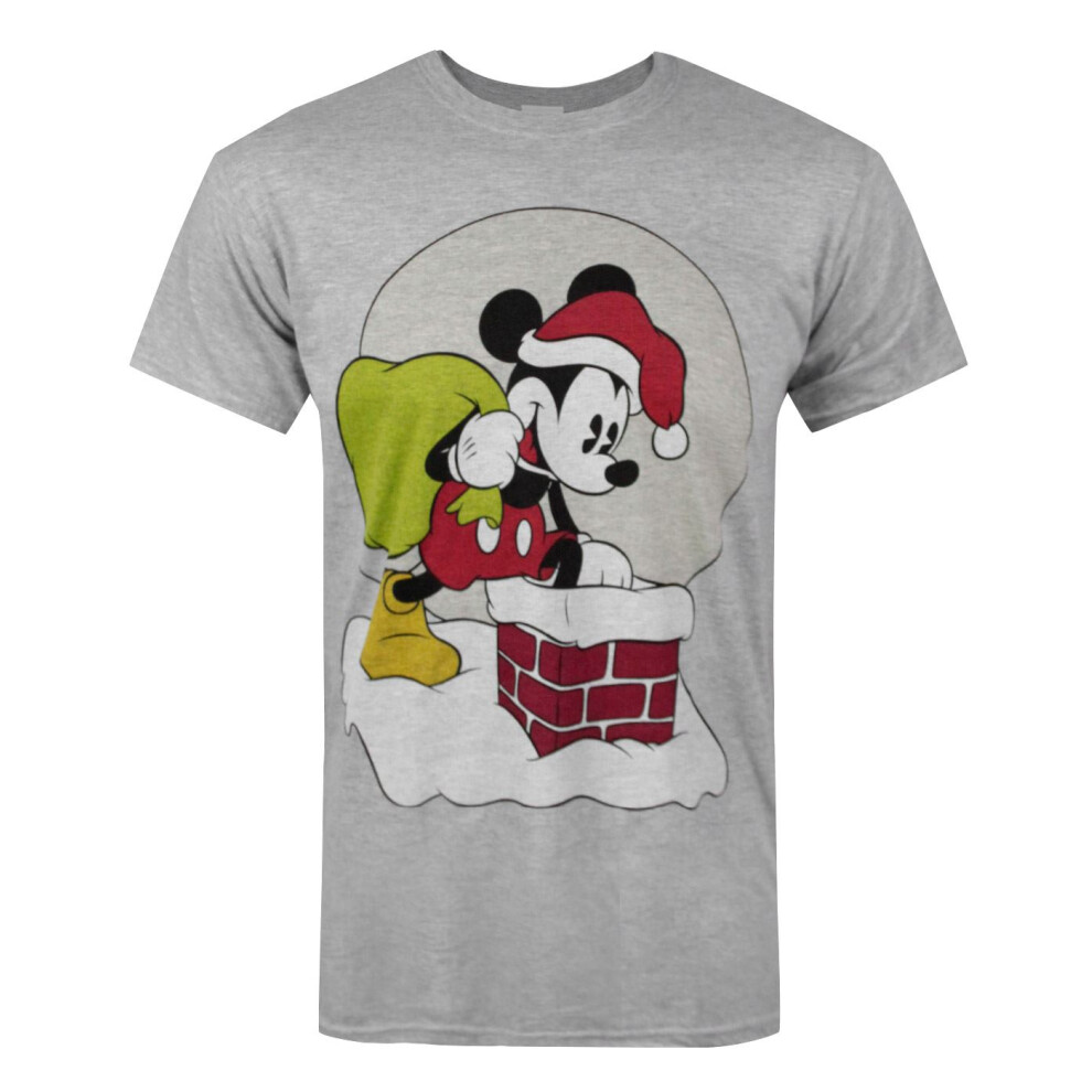Disney Short Sleeved T-Shirt (Mens Grey)