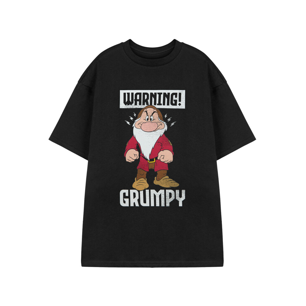 (XX-Large) Disney Snow White & The Seven Dwarfs Short Sleeved T-Shirt (Mens Black)