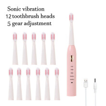 (12 Bürstenköpfe, Pink) Elektrische Schallzahnbürste, USB-Ladefunktion, 4 Farben, IPX7 wasserdicht,