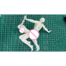 NSFW 150mm Die Cast Resin Model Assembly Kit Mädchenmodell Resin Model Spielzeugset 2 Personen saugen