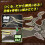 Plannosaurus Dinosaurier-Modellbausatz Serie #07 ~ Pteranodon 6