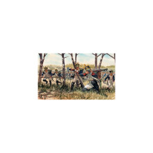NAPOLEONISCHE KRIEGE: FRANZÖSISCHE INFANTERIE - SOLDATEN 1:72 - Italeri 6066