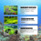 OUHOE algaecide algae removal aquarium algae removal agent fish tank algae removal agent remo 2