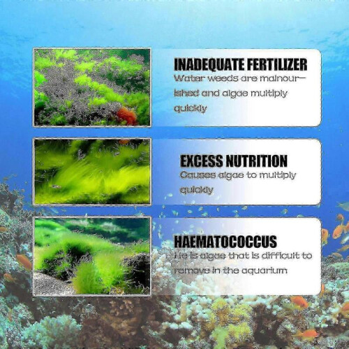 OUHOE algaecide algae removal aquarium algae removal agent fish tank algae removal agent remo 1