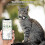 (Vert)Collier pour chat, Collier pour chat avec et le de securite, Tag H pour chaton 4