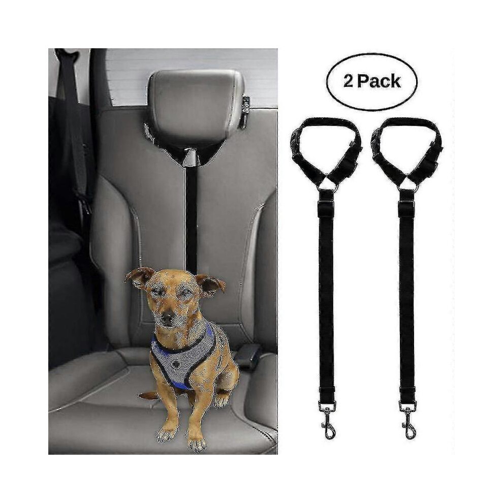 Laisse pour chien solide avec poignée confortable et rembourrée, 2 pièces, noir