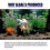 OUHOE algaecide algae removal aquarium algae removal agent fish tank algae removal agent remo 21