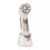 (As show, One size) High Frequency Facial Massager 1