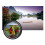 (As show, One size) 80x80 Hd High Power Telescope 3