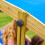 TP Wooden Sandpit with Sun Canopy 9