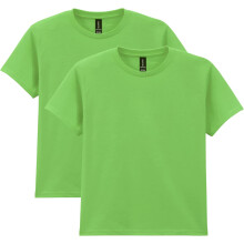 (M, Lime) Gildan Youth Adult Heavy Cotton T-Shirt, 2-Pack