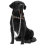 Black Labrador Decorative Ornament | Waiting for a Walk! 1