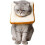 Adjustable Cat Cone Collar Soft, Cat Recovery Collar, Cute E Collar After Cat Surgery 1