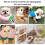 Adjustable Cat Cone Collar Soft, Cat Recovery Collar, Cute E Collar After Cat Surgery 4