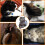Cat Collars with Bells, Separate Cat Collars, Reflective Cat Collars, Puppy Collars 4