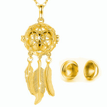 (goud-goud) (goud-goud) Crematie sieraden voor as Dromenvanger hanger sleutelhanger met veer