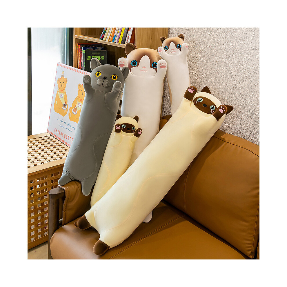 (Koala 110 Cm) 50-130 Cm Kawaii Gigante Grigio Gatto Lungo Peluche Peluche Peluche Peluche Peluche Peluche