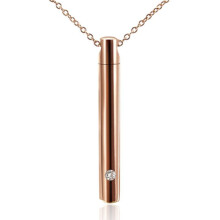 (or rose) (or rose) Collier pendentif commémoratif pour cendres Support en acier inoxydable pour chat