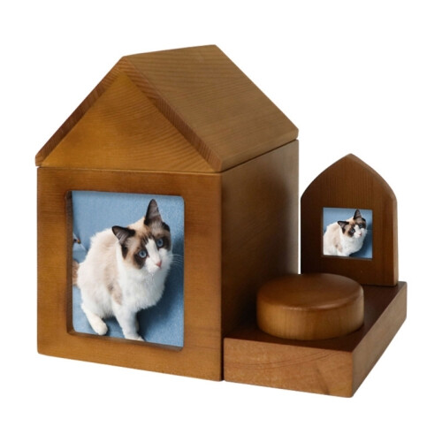 PETQTBB