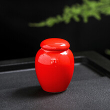 (rouge) (rouge) Mini urnes pour animaux de compagnie pour cendres humaines, urnes peintes à la main,