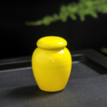 (jaune) (jaune) Mini urnes pour animaux de compagnie pour cendres humaines, urnes peintes à la main,