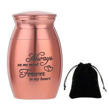 (RGD)(RGD) 1 mini urne funéraire en acier inoxydable pour animal de compagnie