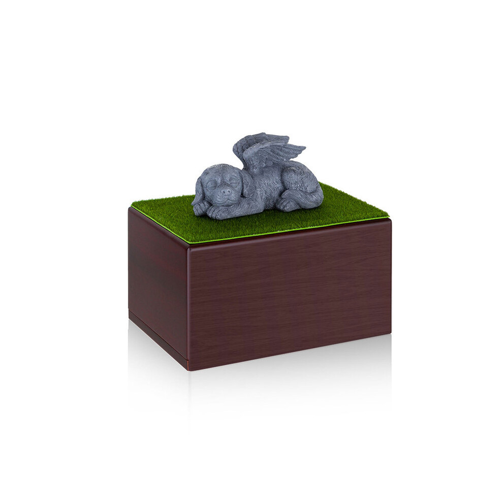 Souvenirs Urnes commémoratives Urnes élégantes pour chats Petite boîte à cendres pour animaux de compagnie