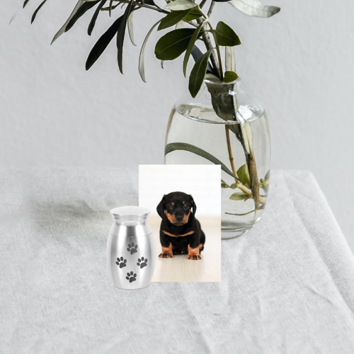 Pet urn Small urns for ashes Medium-sized decorative metal souvenir 2