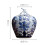 Ceramic Cremation Urns for Human Cremation Pet Ash Holder Keepsake 2
