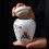 500 ml Pet Urn Sealed Cremation Ashes Memory Small Animals Dog 2