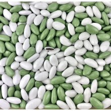 Drag?es chocolat variation Vert eucalyptus et blanc 1kg - pas cher de qualit? - environ 240 drag?es - Fabrication artisanale en France