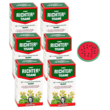 Tisane Ernst Richter Transit - Lot de 6 Bo?tes de 20 Infusions avec 1 Sous-Tasse en Silicone