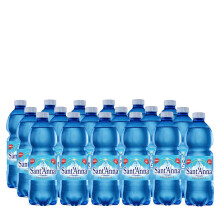Acqua Sant'Anna Frizzante 0,5L | Pack 96 Bottiglie | Acqua Minerale Oligominerale Frizzante, Minimamente Mineralizzata | Freschezza dalla Sorgente Alp