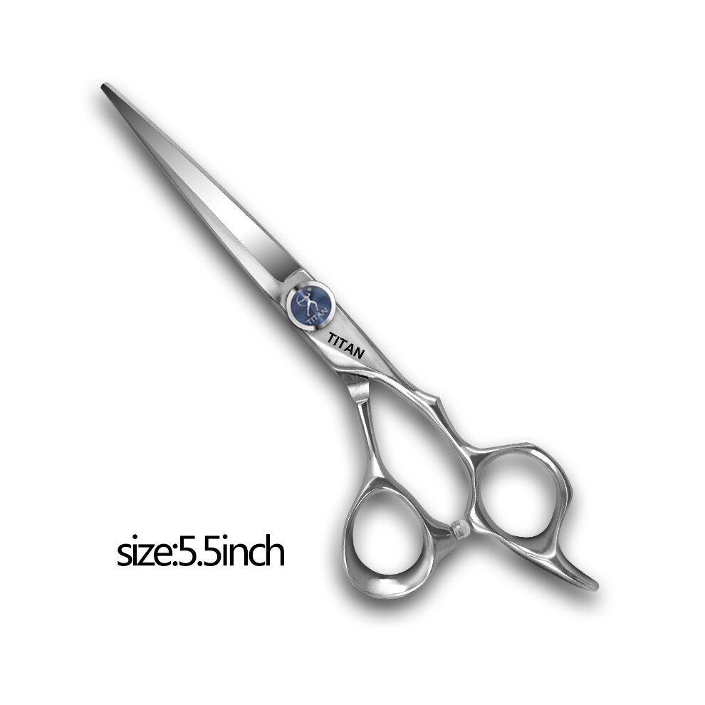 (5.5 inch)Hairdressing Scissors Hair Scissors Professional Hairdressing Scissors Cutting Scissors Thinning