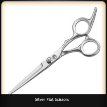 (Silver 1)Barber Scissors 6 Inch Hair Scissors Professional Hairdressing Scissors Cutting Thinning Scissors