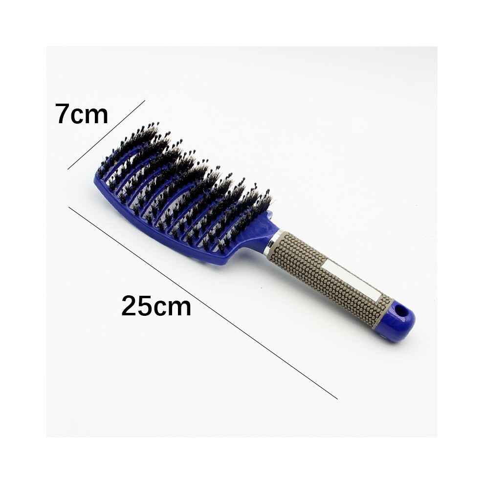 Blue (Blue) Women's Hair Brush Scalp Massage Comb Bristles Nylon Hair Brush Wet Curly Detangle Hair Brush
